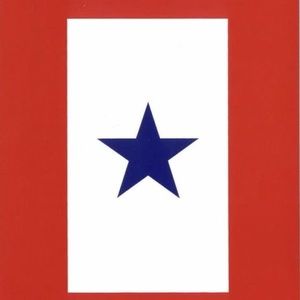 Meet your Posher, Amy l